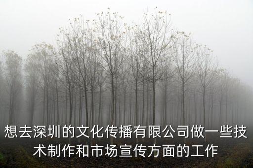 想去深圳的文化傳播有限公司做一些技術制作和市場宣傳方面的工作