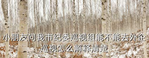 小朋友問我市紀委巡視組能不能去外企巡視怎么解釋清楚