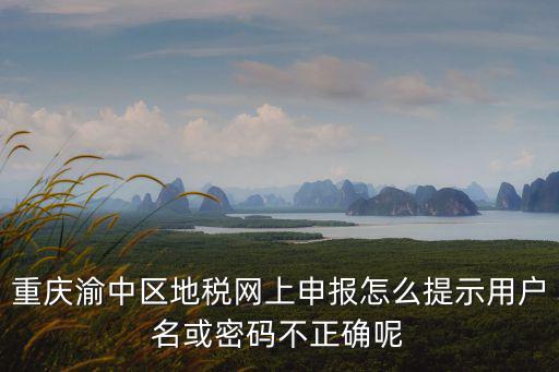 重慶渝中區地稅網上申報怎么提示用戶名或密碼不正確呢