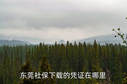 東莞社保下載的憑證在哪里