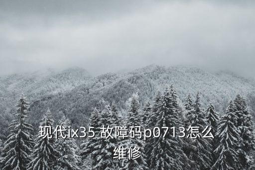 現代ix35 故障碼p0713怎么維修