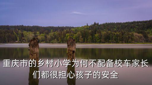 重慶市的鄉(xiāng)村小學(xué)為何不配備校車家長們都很擔(dān)心孩子的安全