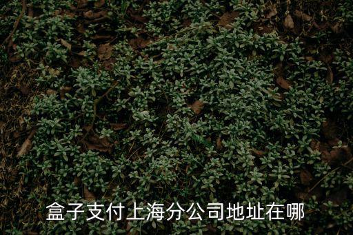 上海市金浜路50號(hào)，盒子支付上海分公司地址在哪