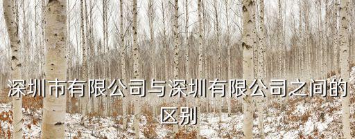 深圳市有限公司與深圳有限公司之間的區別