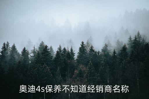 奧迪4s保養(yǎng)不知道經(jīng)銷商名稱
