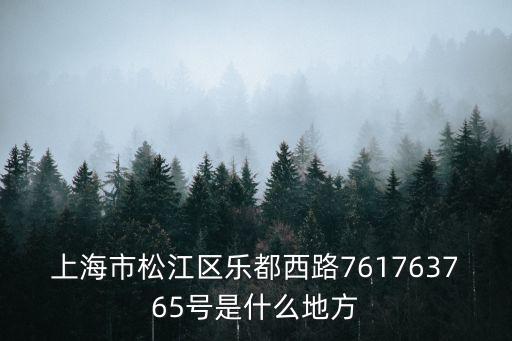 上海市松江區樂都西路761763765號是什么地方