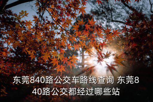 東莞840路公交車路線查詢 東莞840路公交都經過哪些站