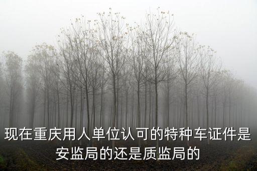 現(xiàn)在重慶用人單位認(rèn)可的特種車證件是安監(jiān)局的還是質(zhì)監(jiān)局的