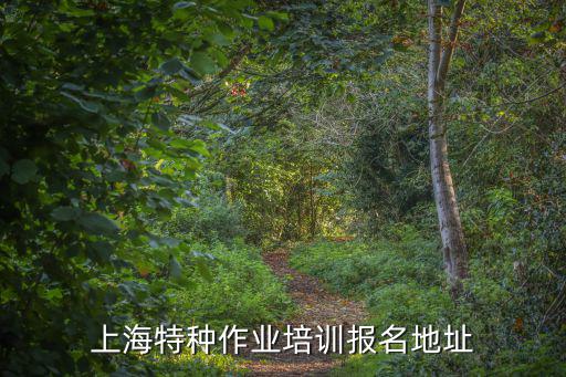 上海特種作業(yè)培訓報名地址