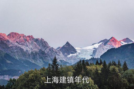 上海市園林街鎮創建，奉賢區成功創建上海市園林城區是在哪一年