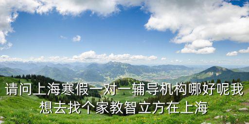 請問上海寒假一對一輔導機構哪好呢我想去找個家教智立方在上海