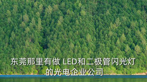 東莞那里有做 LED和二極管閃光燈 的光電企業(yè)公司