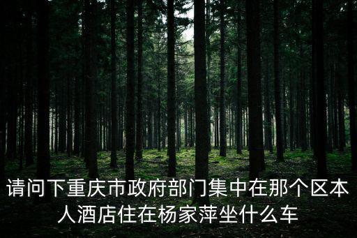 請問下重慶市政府部門集中在那個區本人酒店住在楊家萍坐什么車