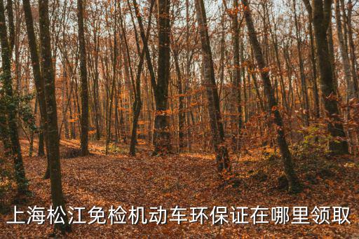 上海市松江區環保備案網，中國上海市松江久富經濟開發區同利路95號