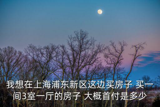 我想在上海浦東新區這邊買房子 買一間3室一廳的房子 大概首付是多少