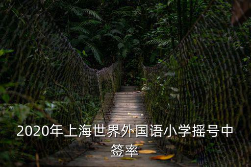 2020年上海世界外國語小學搖號中簽率