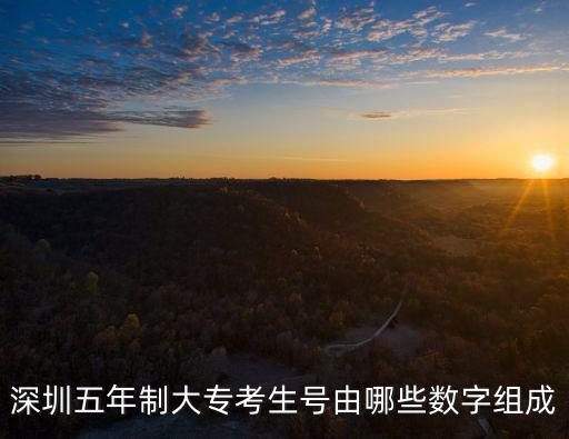 深圳考生的編代碼，深圳五年制大專考生號由哪些數字組成