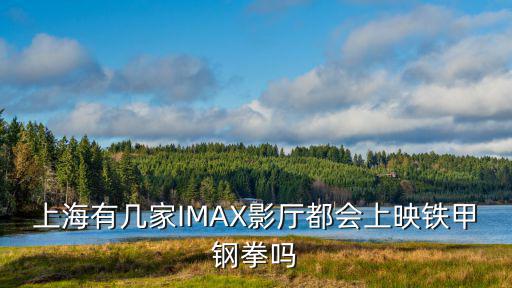 上海市米格國(guó)際影城，上海有幾家IMAX影廳都會(huì)上映鐵甲鋼拳嗎