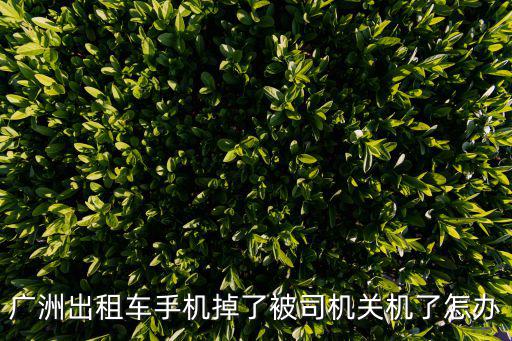 廣州出租車丟手機，廣洲出租車手機掉了被司機關機了怎辦