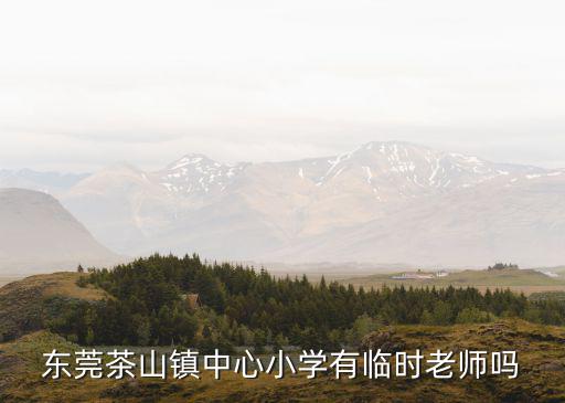 東莞茶山鎮(zhèn)中心小學(xué)有臨時老師嗎