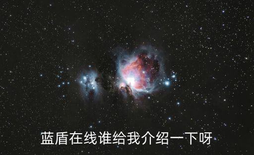 藍盾在線誰給我介紹一下呀
