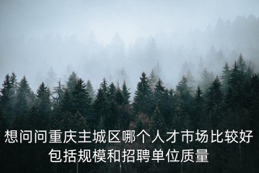 想問問重慶主城區哪個人才市場比較好包括規模和招聘單位質量