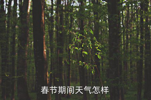 春節期間天氣怎樣