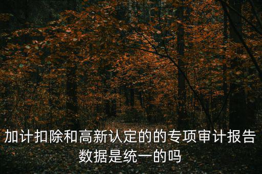 深圳加計(jì)扣除審計(jì)驗(yàn)資，研發(fā)費(fèi)用資本化階段加計(jì)扣除如何備案