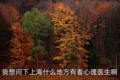 我想問下上海什么地方有看心理醫生啊