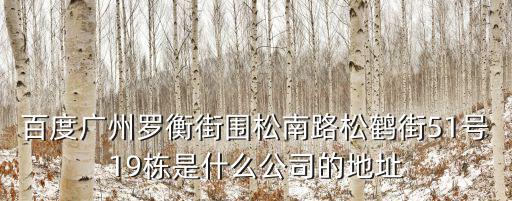 百度廣州羅衡街圍松南路松鶴街51號19棟是什么公司的地址