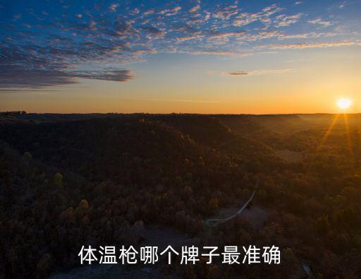 體溫槍哪個牌子最準確