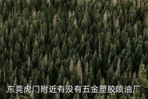 東莞虎門附近有沒有五金塑膠噴油廠