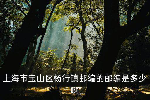 上海市寶山區楊行鎮郵編的郵編是多少啊
