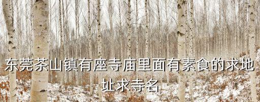 東莞茶山鎮有座寺廟里面有素食的求地址求寺名