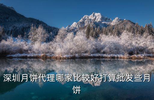 深圳月餅代理哪家比較好打算批發些月餅