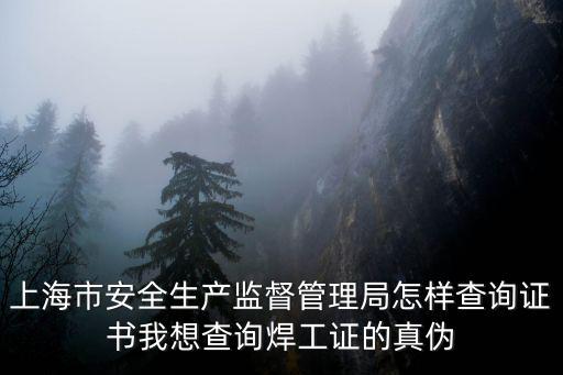 上海市安全生產監督管理局怎樣查詢證書我想查詢焊工證的真偽