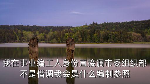 我在事業編工人身份直接調市委組織部不是借調我會是什么編制參照
