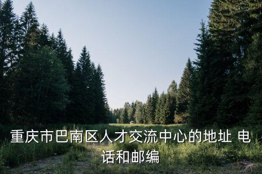 重慶市流動人才中心，重慶人才市場在那里
