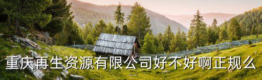重慶再生資源有限公司好不好啊正規(guī)么