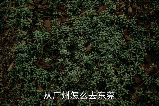 從廣州怎么去東莞