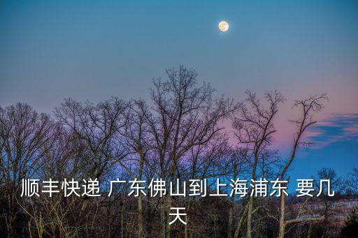順豐快遞 廣東佛山到上海浦東 要幾天