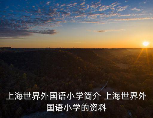 上海市世界大國際小學，上海世界外國語小學簡介 上海世界外國語小學的資料