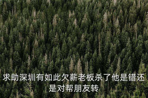 深圳百利倒閉，求助深圳有如此欠薪老板殺了他是錯(cuò)還是對(duì)幫朋友轉(zhuǎn)