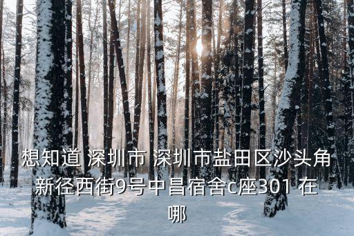 想知道 深圳市 深圳市鹽田區沙頭角新徑西街9號中昌宿舍c座301 在哪