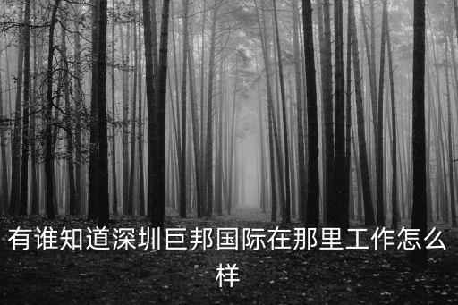 有誰知道深圳巨邦國際在那里工作怎么樣