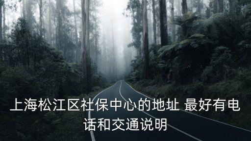 上海市松江區社保中心網，上海松江外來人口社保中心在哪