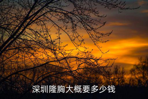 深圳隆胸大概要多少錢