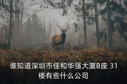 誰知道深圳市佳和華強大廈B座 31樓有些什么公司