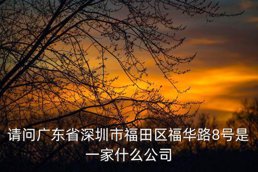 請問廣東省深圳市福田區福華路8號是一家什么公司