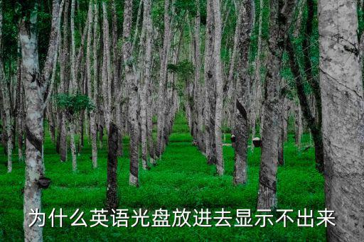 深圳一年級英語光盤放不出圖來，今年一年級英語教材光盤怎么讀不了